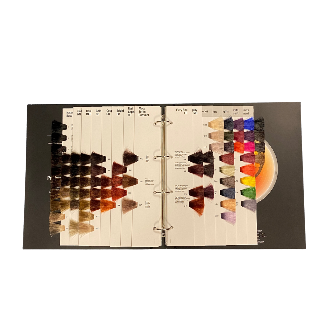 Q OCS NEW Shade Chart Binder